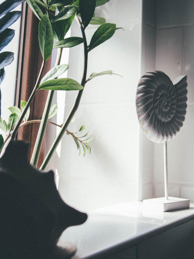 Willa Piwniczka Apartament Jahlowej Piwniczna-Zdroj 외부 사진